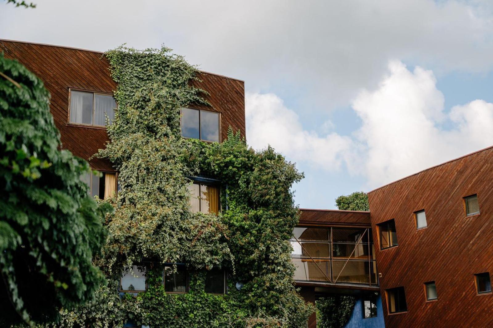 Hotel Tierra Del Sur Темуко Екстериор снимка